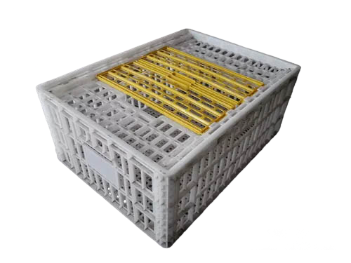 Producto - Canasta transporte y Sueltas de palomas