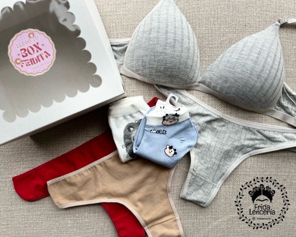 Producto - Box Fridita Triangulito Morley Armado