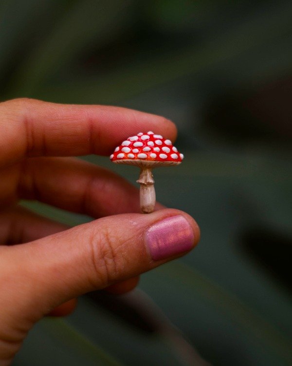 Producto - Prendedor de hongo amanita
