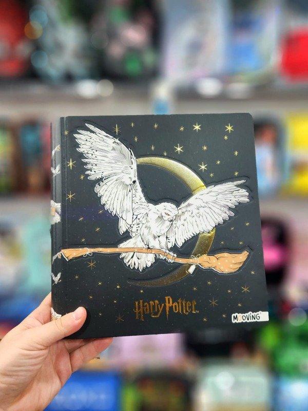 Producto - Harry Potter - 2