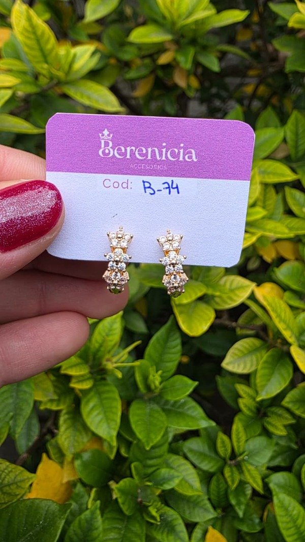 Producto - Aros Flor
