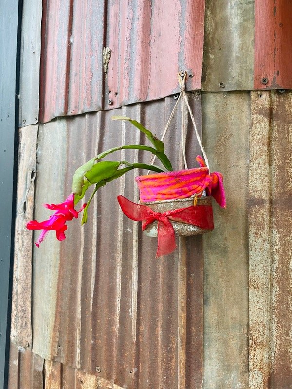 Producto - Santa Teresa, maceta básica. Buen augurio, Ya dio flor