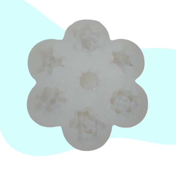 Producto - Molde Suculentas - 1