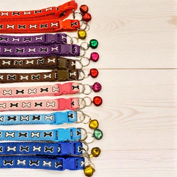 Producto - COLLAR GATO/PERRO CHICO C/CASCABEL