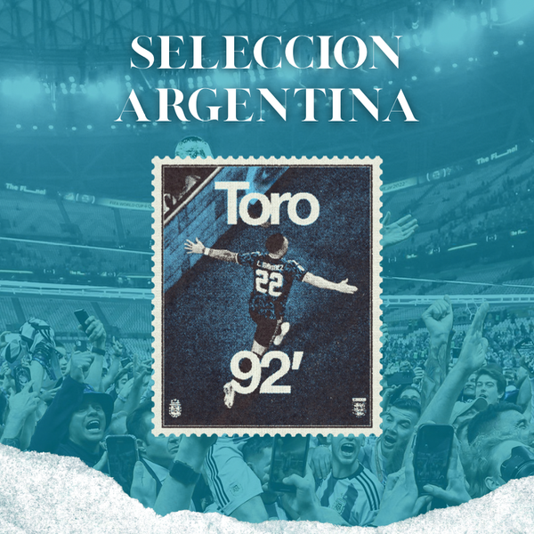 Producto - Toro 22
