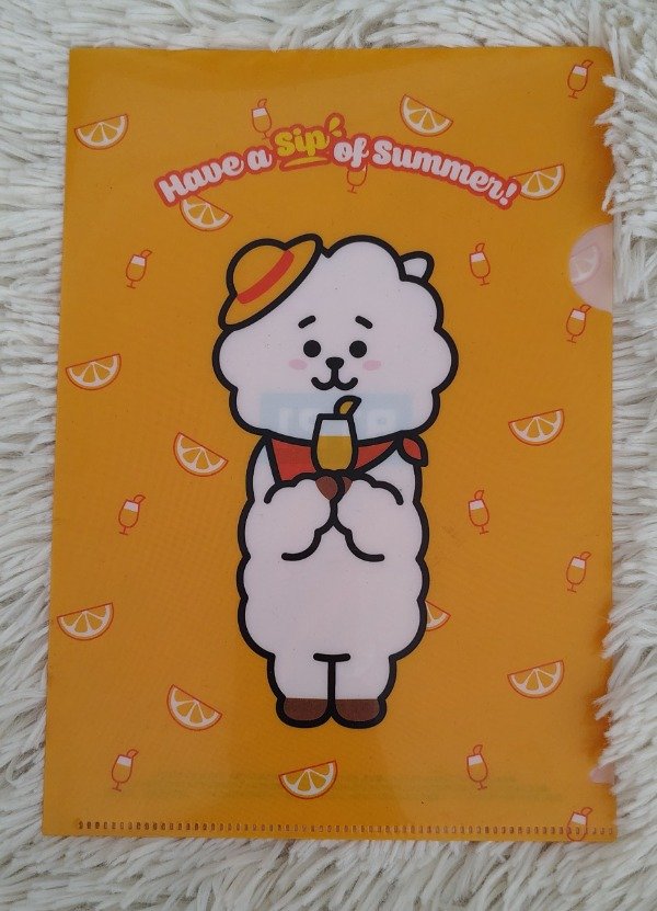 Producto - BT21 MINI  JAPAN CLEAR FILE RJ