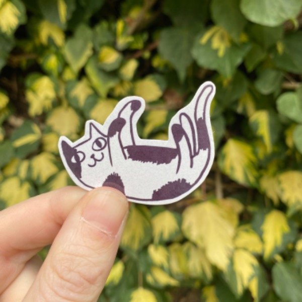 Producto - Vinilo Gato