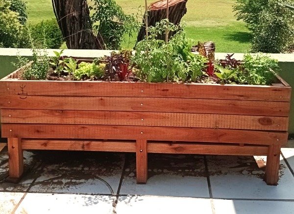 Producto - Huertera elevada grande