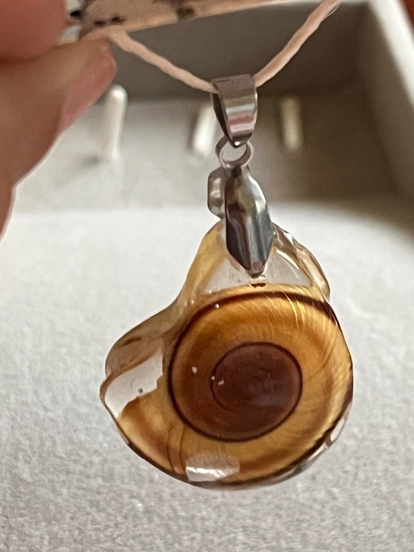 Producto - Variedad 24 caracol - 2