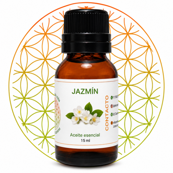 Producto - JAZMIN AC ES (Jasminum grandiflorum)