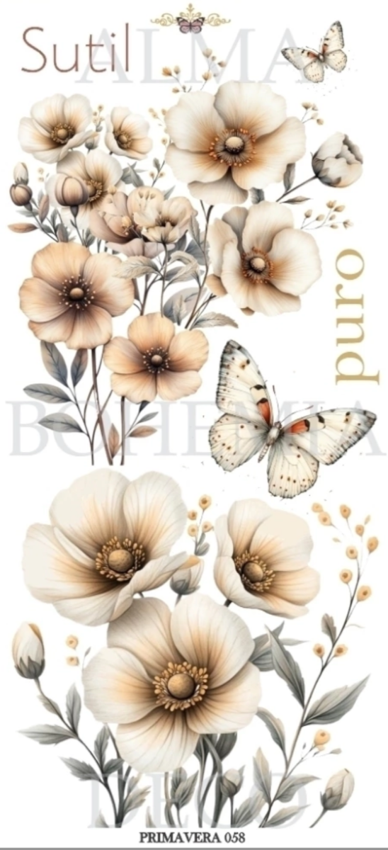 Producto - ALMA BOHEMIA TRANSFER PRIM058