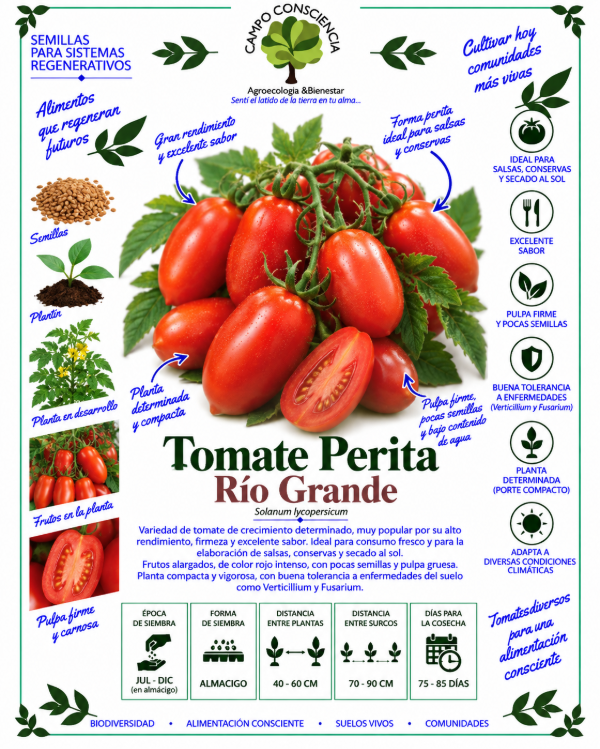 Producto - Tomate Perita Río Grande - Semillas Agroecológicas
