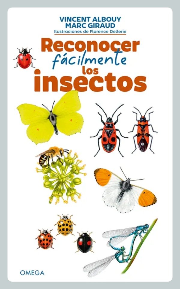 Producto - Albouy: Reconocer Fácilmente los Insectos
