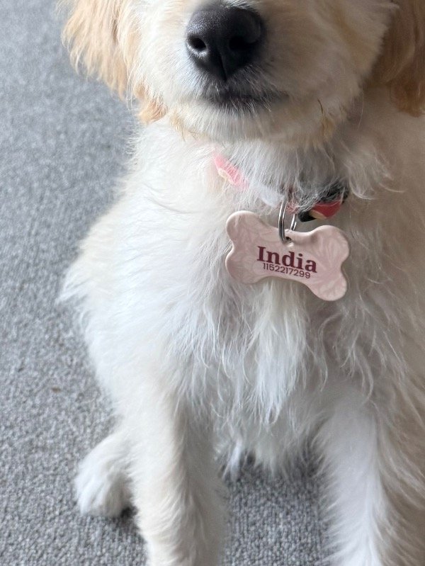 Producto - Chapita Identificatoria