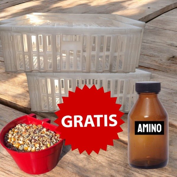 Miniatura de producto - 0