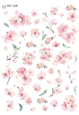 Producto - INF 12B MIXED A5