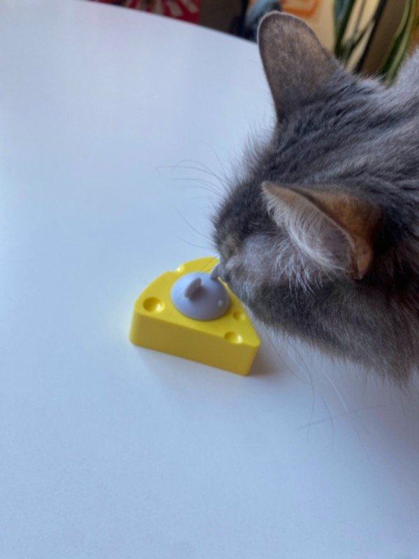 Producto - Ratón catnip para pared