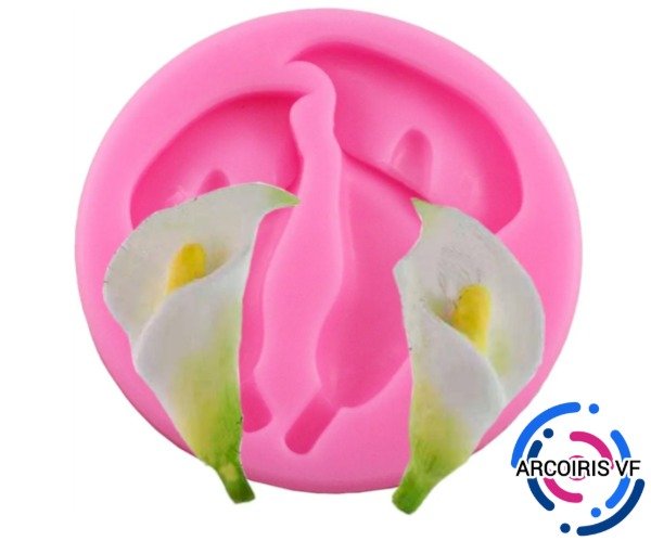 Producto - Molde dos calas