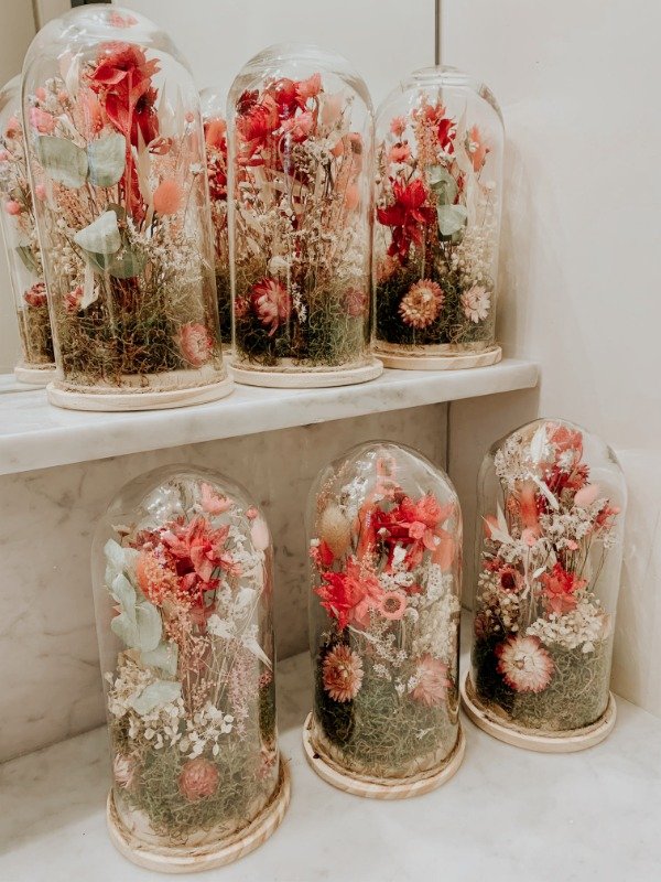 Producto - Cúpula Belle