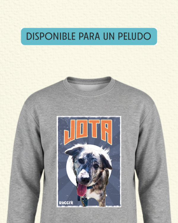 Producto - Retro - BUZO