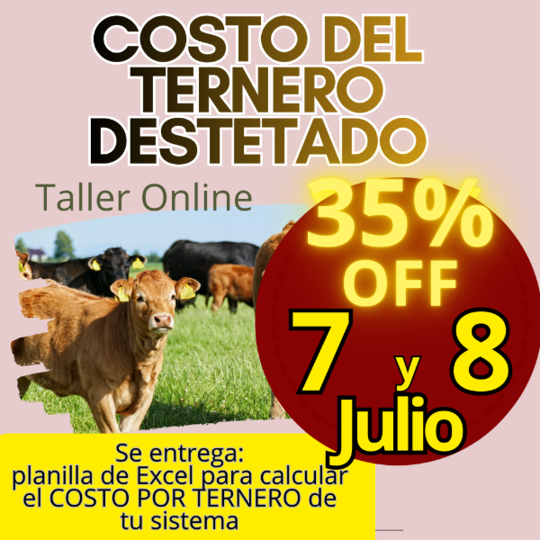 Producto - Taller Online: Costo del Ternero