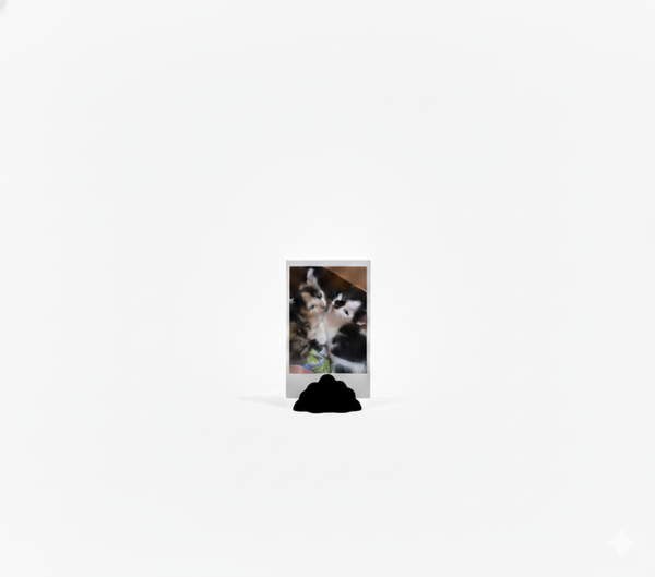 Miniatura de producto - 8