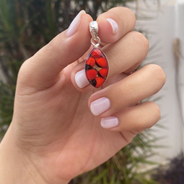 Producto - Celes