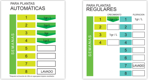 Producto - Namaste Amazonia - 1