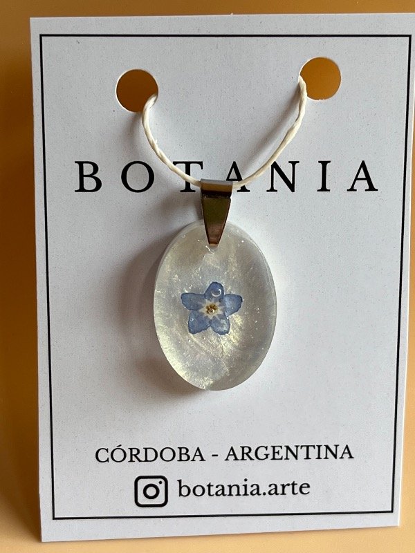 Producto - No me olvides 5