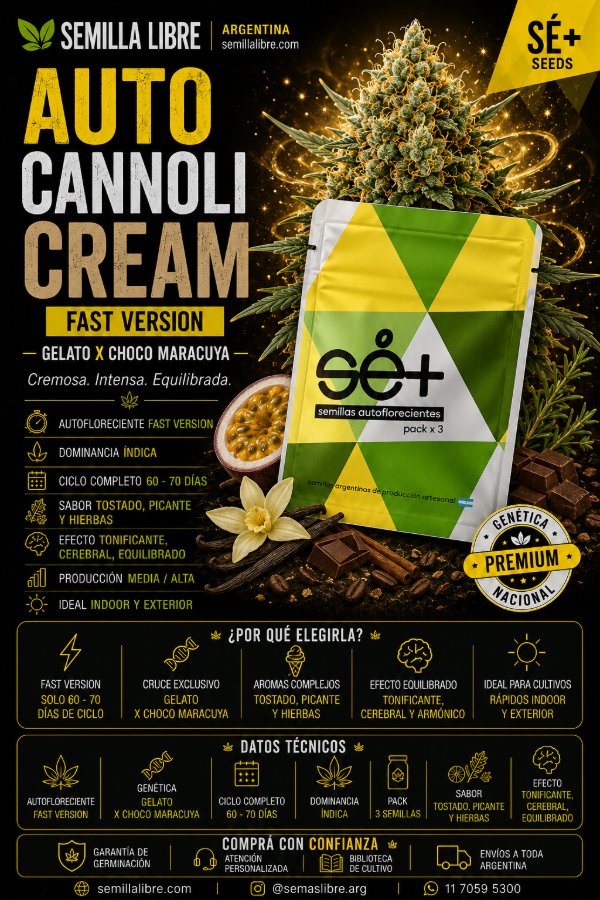 Producto - CANNOLI CREAM - SE+ SEEDS. Pack 3 semillas - 2