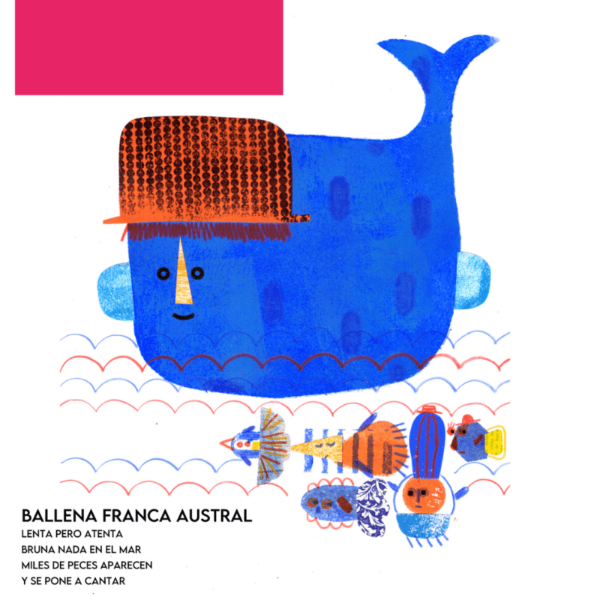 Producto - ABECEDARIO DE AVENTURAS ANIMALES - CECILIA CODONI - EDITORIAL PUPEK - 1