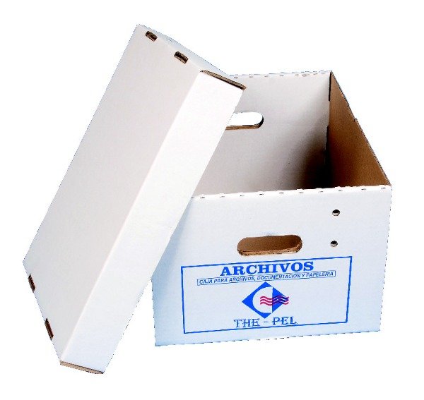 Producto - CAJA AMERICANA THEPEL CON TAPA 41X33X25 x25 Unidades