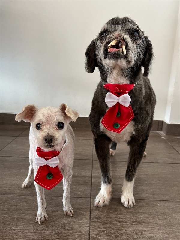 Producto - Corbata navidad