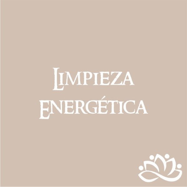 Producto - Taller de Limpieza Energética