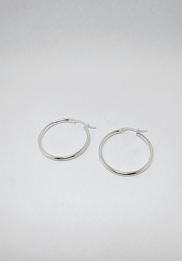 Producto - Aros plateados 1264