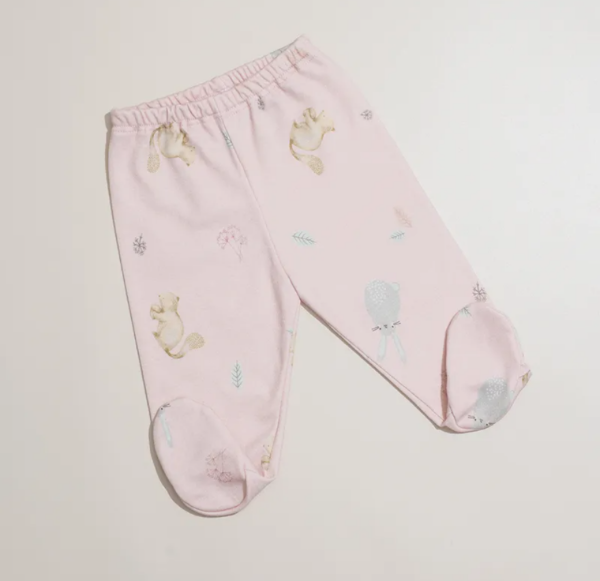 Producto - Ranita Bosque