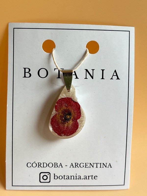 Producto - Variedad 12 Corona de Cristo