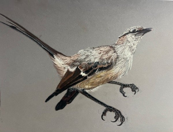 Producto - Retrato de mascota con pastel tiza - 4