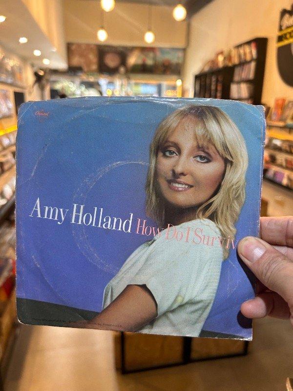 Producto - Amy Holland hoy do i survive simple 7