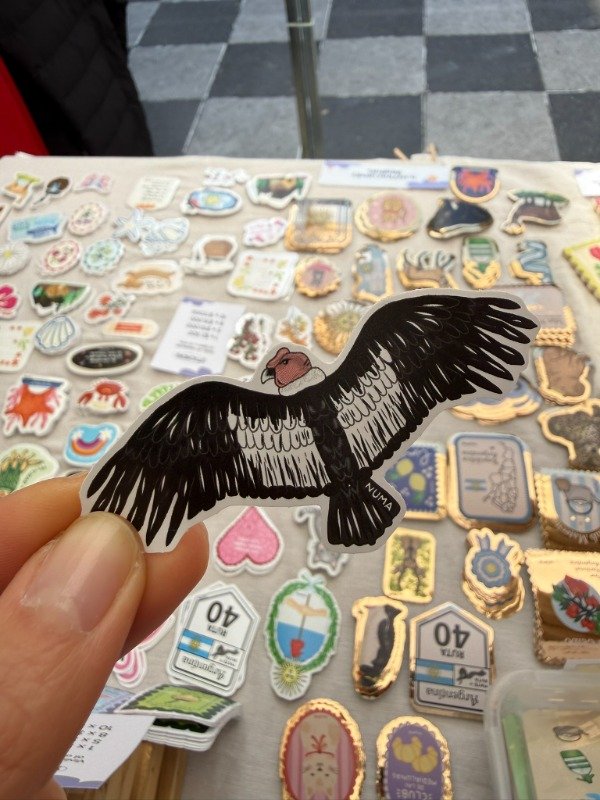 Producto - Sticker vinilo blanco CONDOR