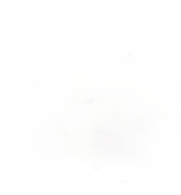 Producto - PETALOS DE ROSA ROJA