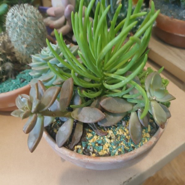 Miniatura de producto - 6
