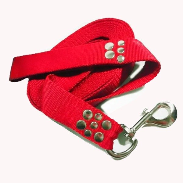 Producto - Correa de perro Strong x 4 cm de ancho con mosquetón de caballo - 3