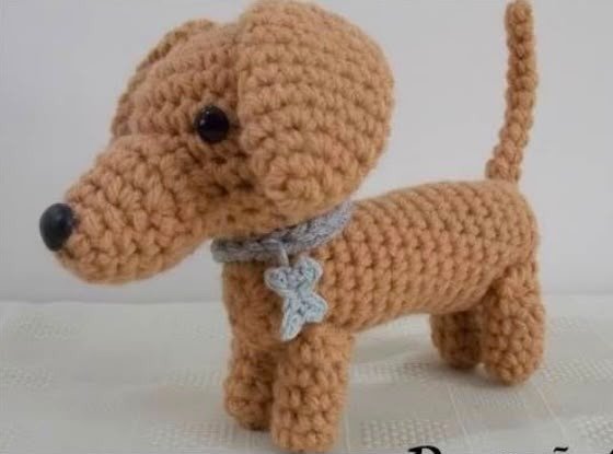 Producto - Perros - 11