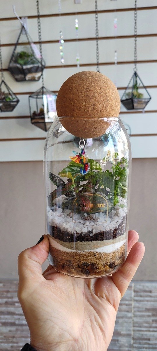 Producto - Bottiglia