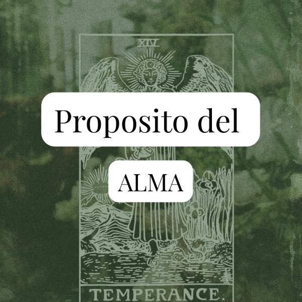 Producto - Propósito del Alma