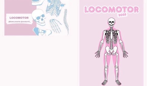 Producto - fichas + apunte locomotor