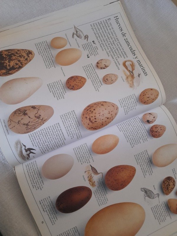 Miniatura de producto - 8