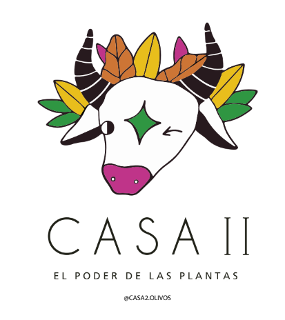 Producto - Brochettes de gírgolas y vegetales a la criolla