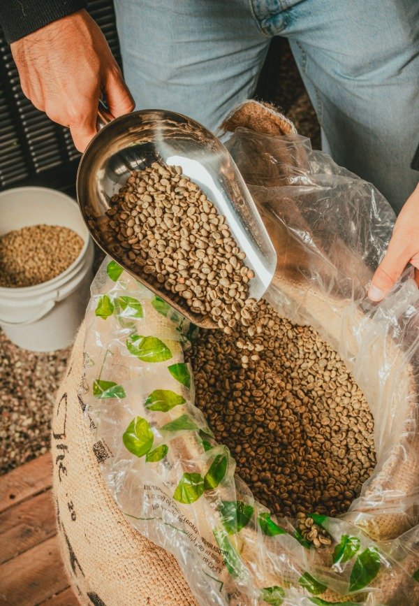 Producto - CAFÉ VERDE